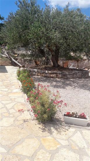 House Marie’s Lavander Dream