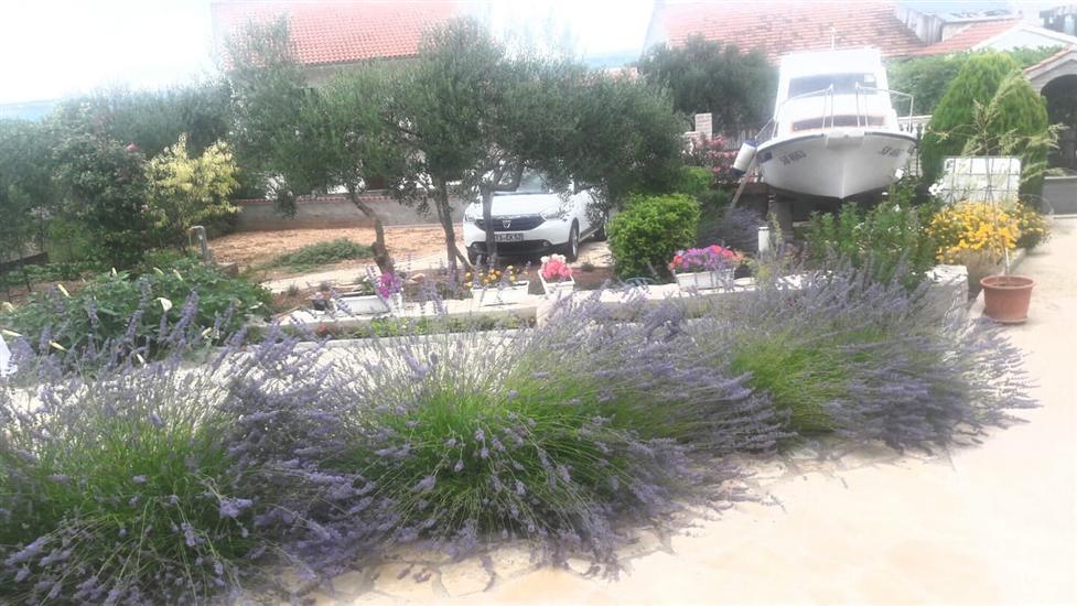 House Marie’s Lavander Dream