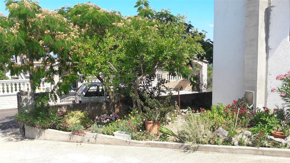 House Marie’s Lavander Dream