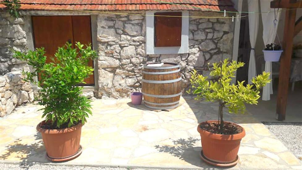 House Marie’s Lavander Dream