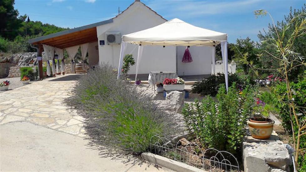 House Marie’s Lavander Dream