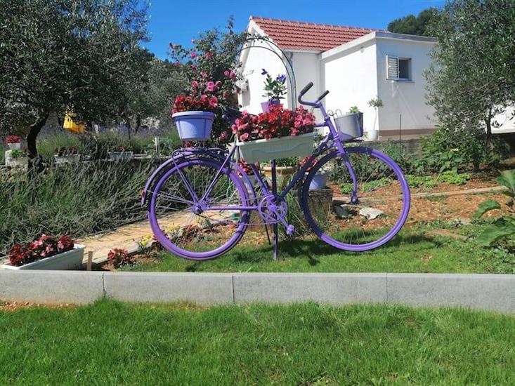 House Marie’s Lavander Dream