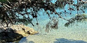 Apartment - Bilo (Primosten)