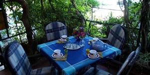 Apartment - Podgora