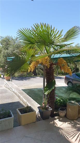 Apartments and Room Anica & Marko