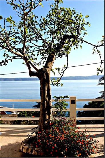 Appartement A1, pour 4 personnes