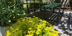 Apartment - Podgora
