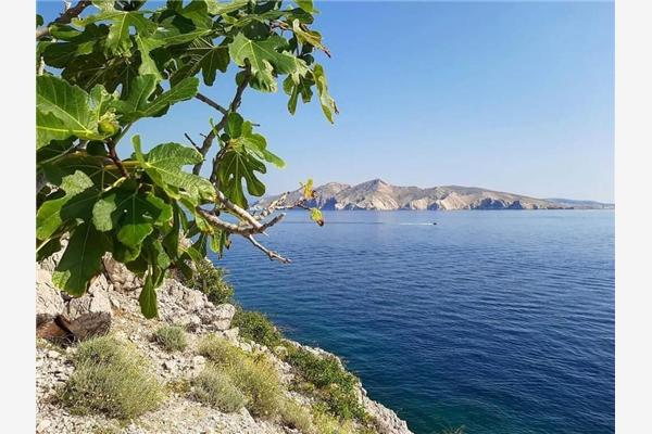 Appartement A1, pour 3 personnes