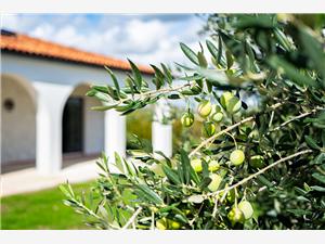 Villa Olivarum Zadar riviera, Stone house, Size 100.00 m2, Accommodation with pool