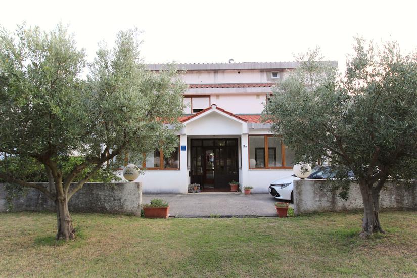 Apartments Petrica Jurandvor