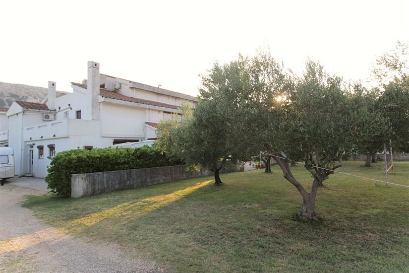 Apartments Petrica Jurandvor