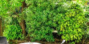 Ferienwohnung - Opatija