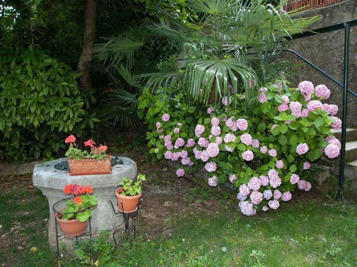 Apartment Volosko for two