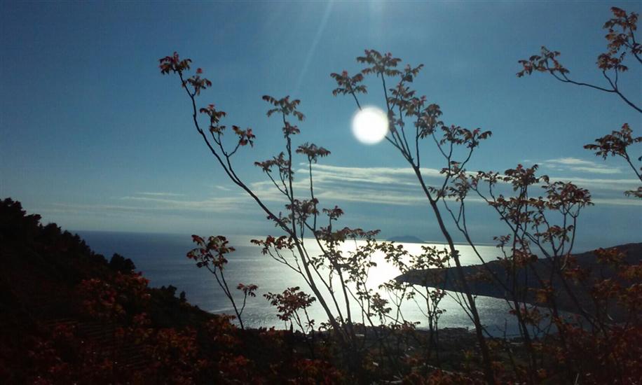 Apartment A2, for 3 persons