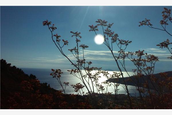 Apartment A2, for 3 persons