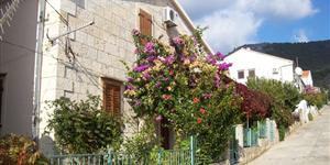 Apartman - Komiža - otok Vis