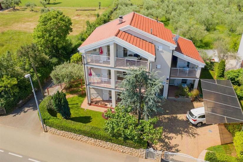 Apartmanok Ruža