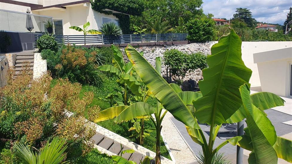 Apartments Lux with pool