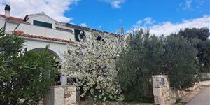 Apartment - Jezera - island Murter