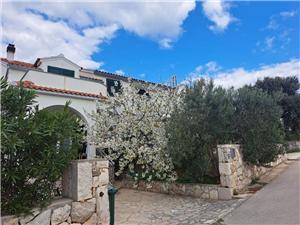 Apartment Julia Jezera - island Murter, Size 30.00 m2, Airline distance to town centre 600 m
