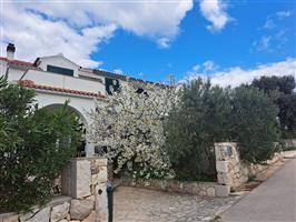 Apartment - Jezera - island Murter