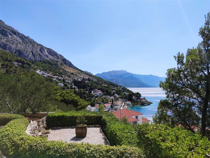 Apartments Olive sea view
