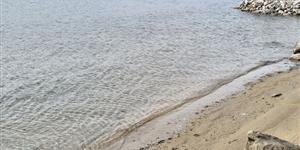 Apartament - Palit - wyspa Rab