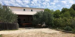 Apartment - Slatina - island Vir