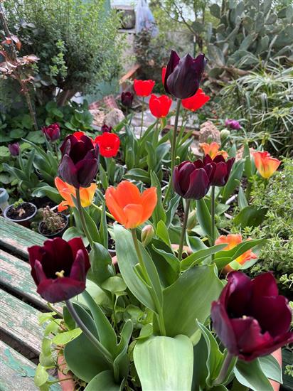 Apartment Haus Franciska