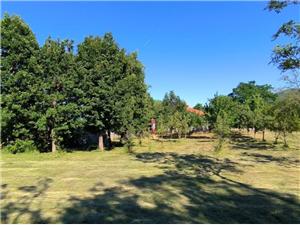 Holiday homes Split and Trogir riviera,BookAnteAnaFrom 248 €