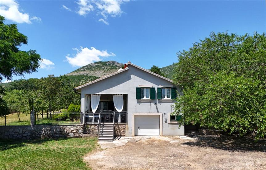 House AnteAna