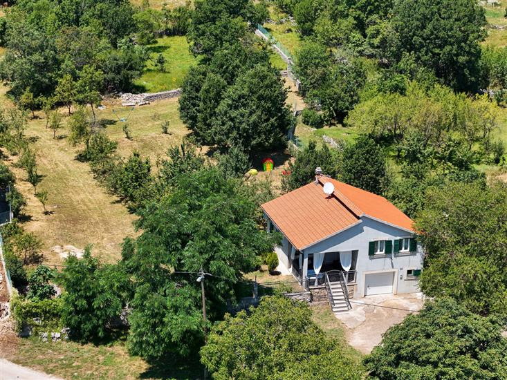 House AnteAna