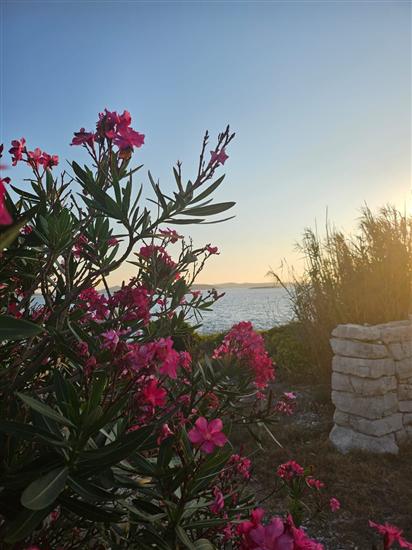 House Island just for You- Ravna Sika