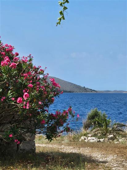 House Island just for You- Ravna Sika