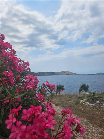 House Island just for You- Ravna Sika