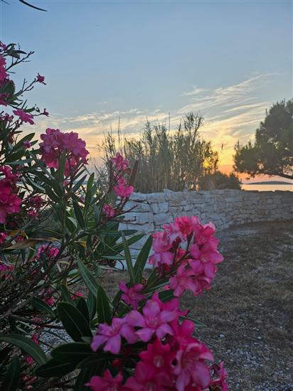 House Island just for You- Ravna Sika