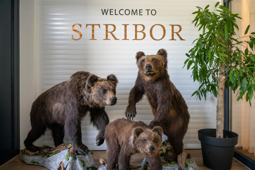 Apartment and Rooms Resort Stribor