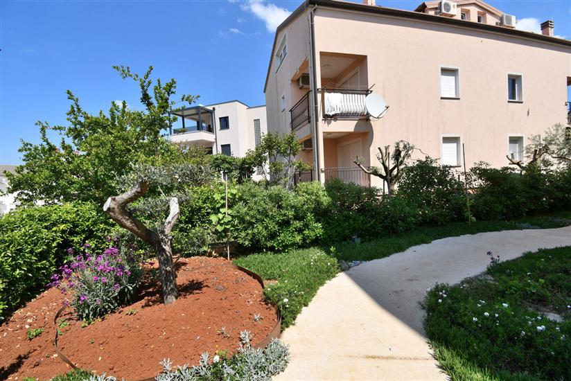 Apartment Beba