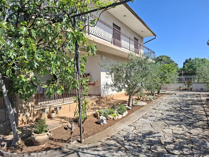 Apartments Flower terrace