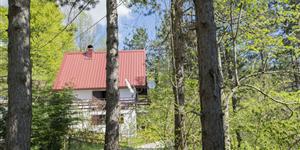House - Lič