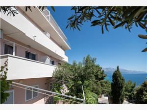 Apartments Zvonko Mimice, Size 20.00 m2, Airline distance to the sea 130 m, Airline distance to town centre 350 m