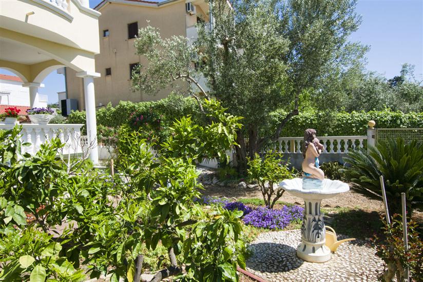 Apartments Dandelion