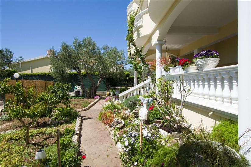 Mobile home Dandelion