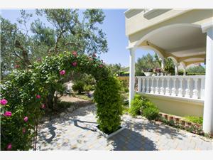 Mobile home Dandelion Biograd, Size 24.00 m2, Airline distance to the sea 30 m