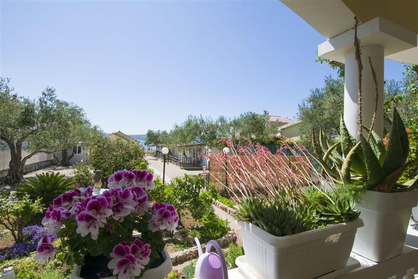 Mobile home Dandelion