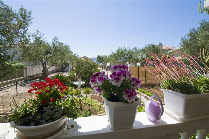 Mobile home Dandelion