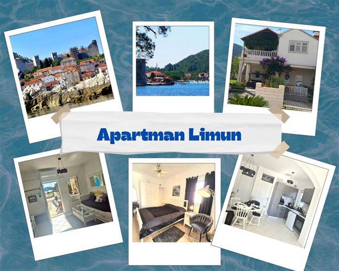 Apartment Damir