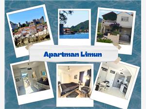 Apartment Damir Peljesac, Size 40.00 m2, Airline distance to the sea 100 m, Airline distance to town centre 300 m