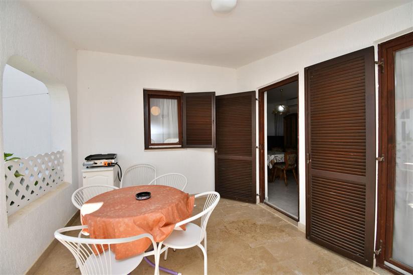 Apartment Little bird