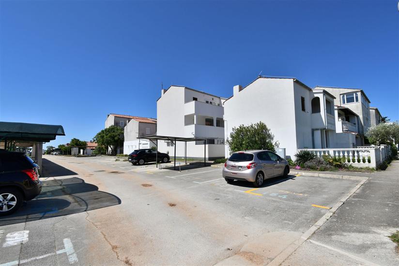 Apartment Little bird